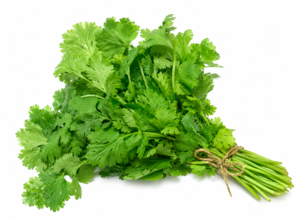 Coriander Bunch (Dhaniya Patta) -100g